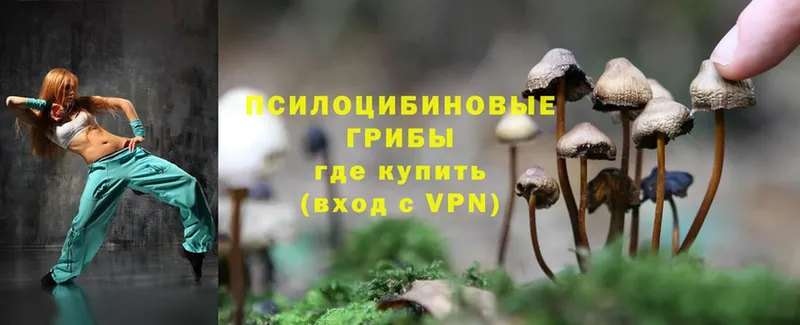 Псилоцибиновые грибы Magic Shrooms Благодарный